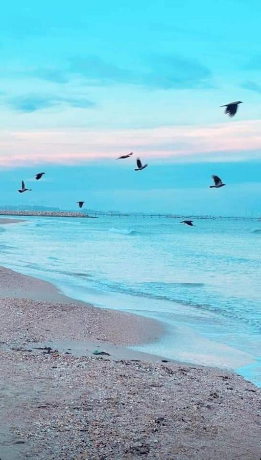 Ayan Moonlight Residence Mamaia Kültér fotó
